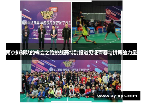 南京排球队的蜕变之路挑战赛特别报道见证青春与拼搏的力量