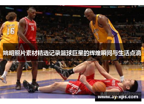 姚明照片素材精选记录篮球巨星的辉煌瞬间与生活点滴